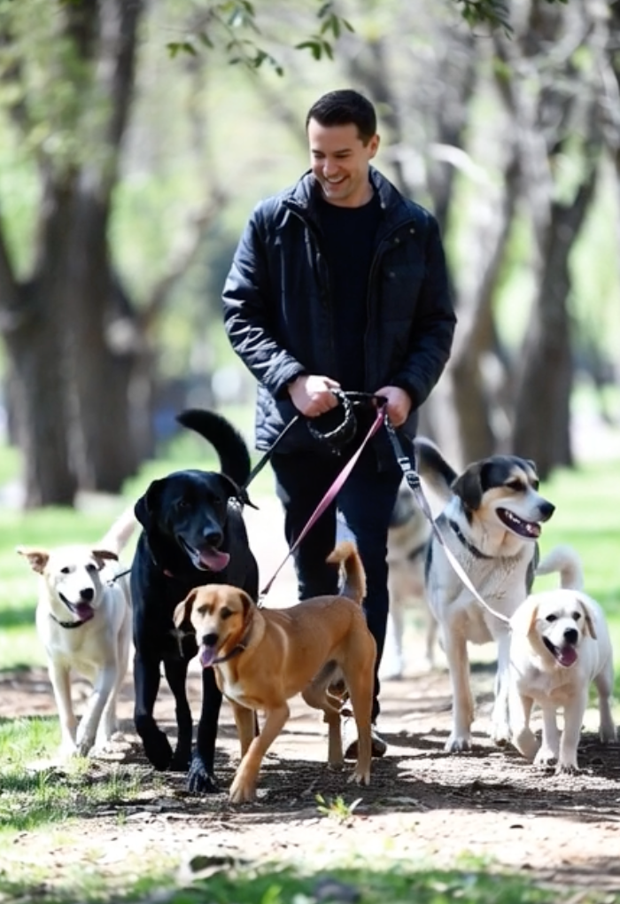 Happy person walking dogs in park - peace of mind and freedom